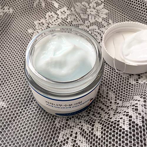 Round Lab Birch Juice Moisturizing Cream