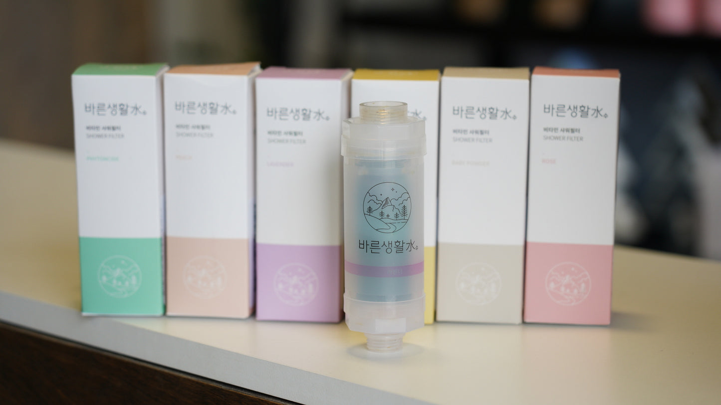 Bareun Vitamin Shower Filter (6 scents)