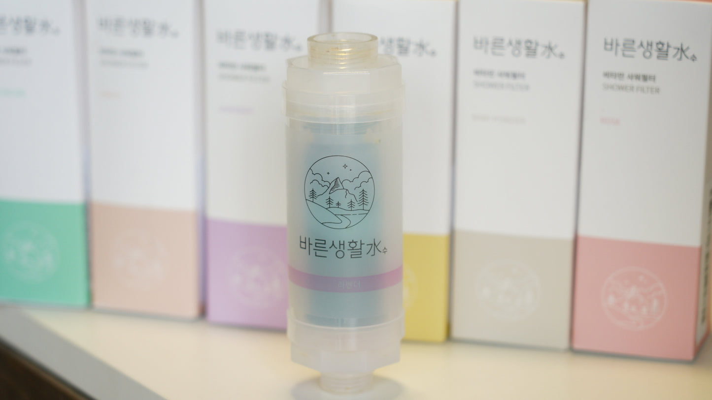 Bareun Vitamin Shower Filter (6 scents)