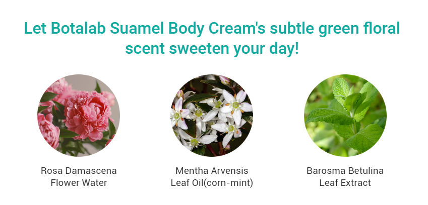 Botalab Suamel Body Cream