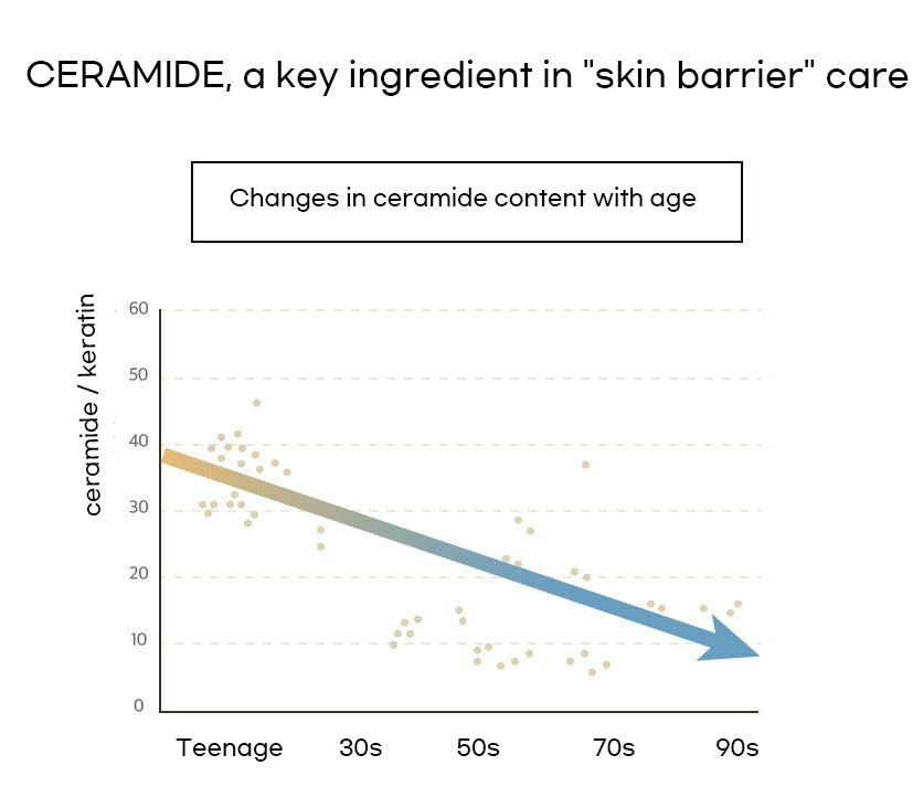 [About Me] Rice Makgeolli Ceramide Cream